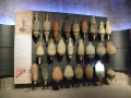DSCN9938