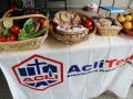 fasi congressuali (72)