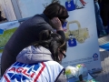 ALIMENTARE LA SALUTE