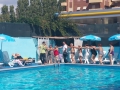Anziani in azione - ladispoli - 7915 (25).jpg