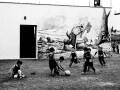 _SIM0317_ copia