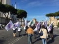 Marcia per la tutela del Creato! 8-11-15.jpg
