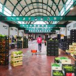 cibo che serve cercasi volontari